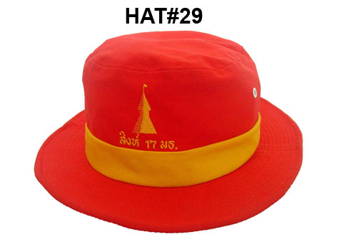 HAT#29